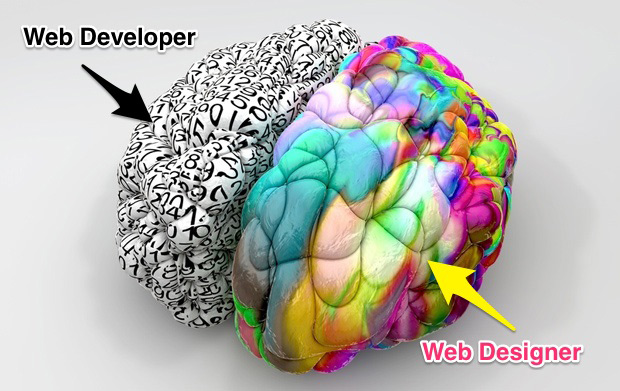 Cerebro designer