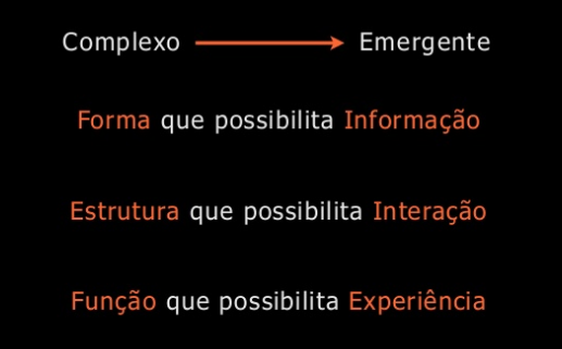 Complexo emergente