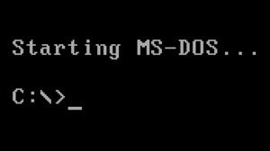 Ms dos