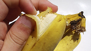 Lições da natureza: o exemplo da banana