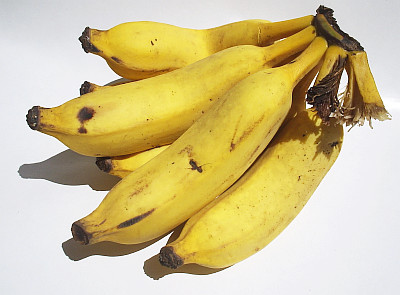 Cacho de bananas