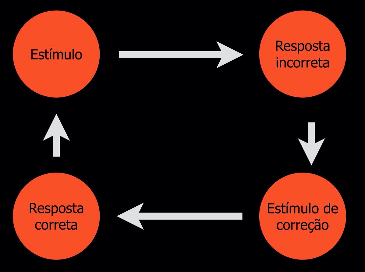 Estimulo correcao6