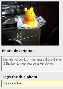 Exemplo de classificação por tags de uma foto no Flickr