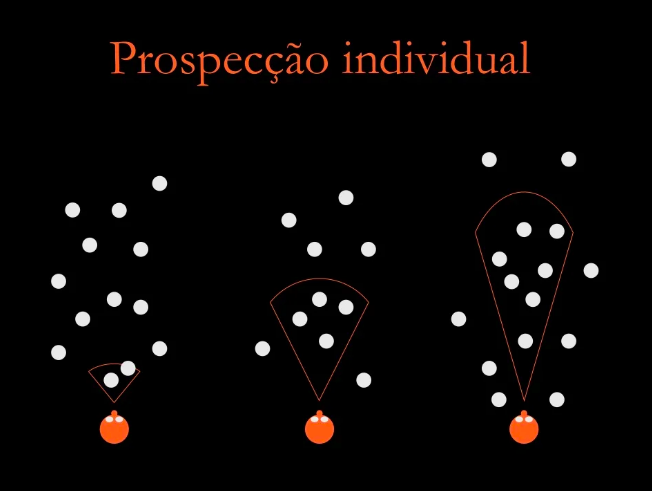 prospeccao_individual.png